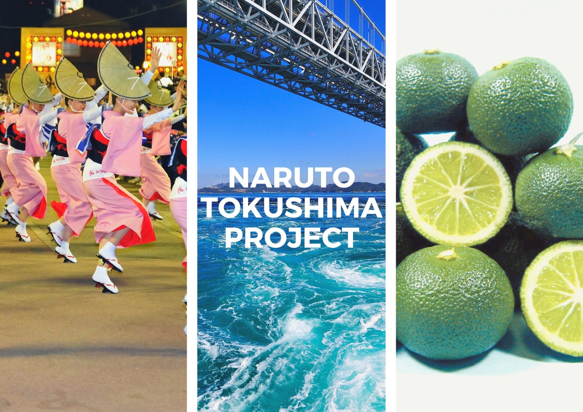 NARUTO-TOKUSHIMA PROJECT